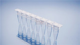 0.2ml PCR透明八联管